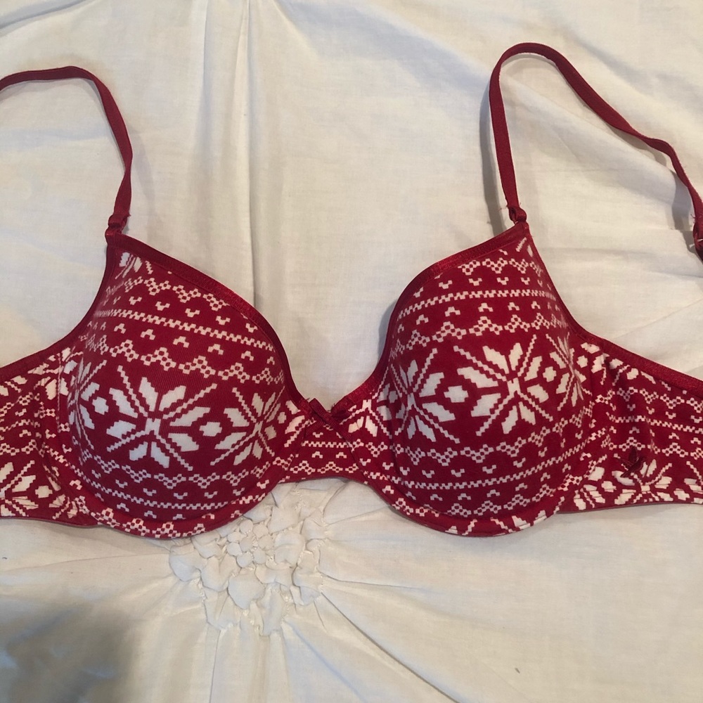 aerie Hannah Bra